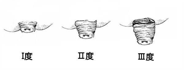 1676277505202090635.png 图片7.png