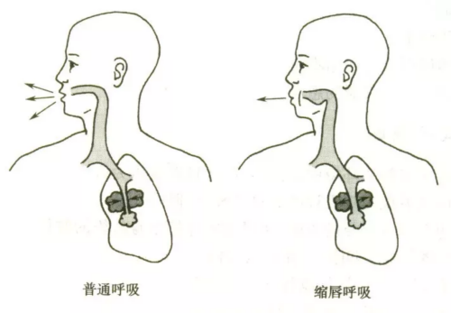 图片 4.png