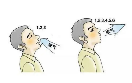 图片 5.png