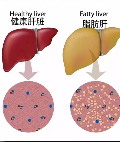 图片 3.png