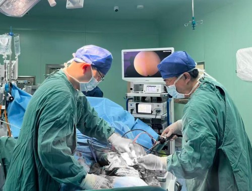 1766112469036078022.jpg 图片 1.jpg