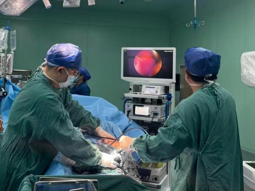 1766112555393064150.jpg 图片 2.jpg